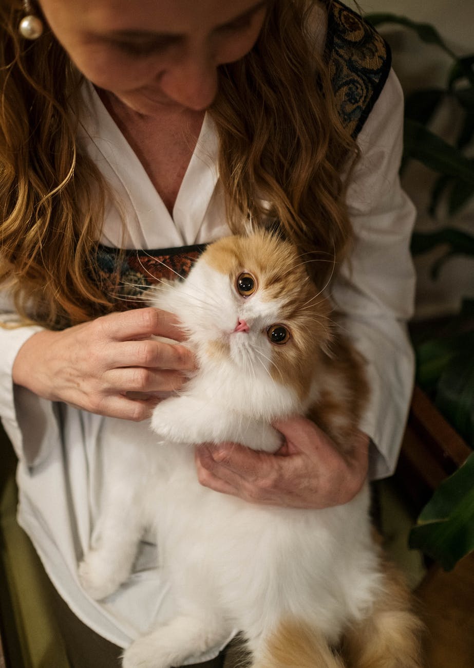 woman holding her orange and white cat